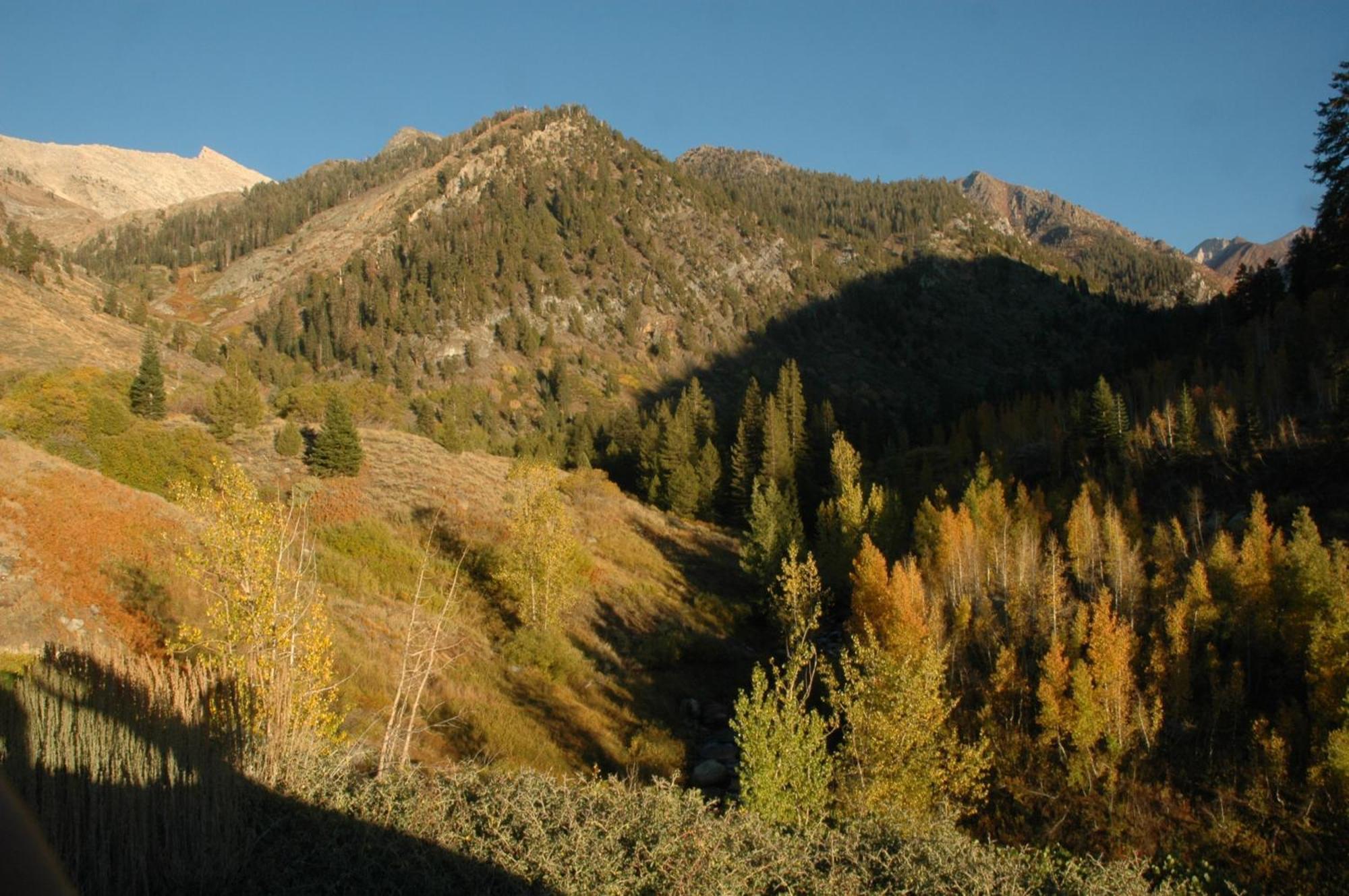 Silver City Mountain Resort Three Rivers Exteriér fotografie
